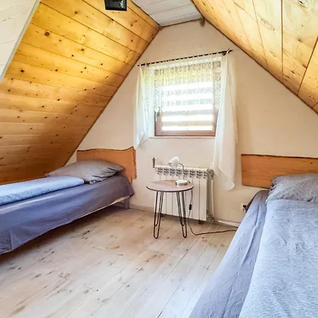 Duzy Dom I Z Bala - Caloroczne *