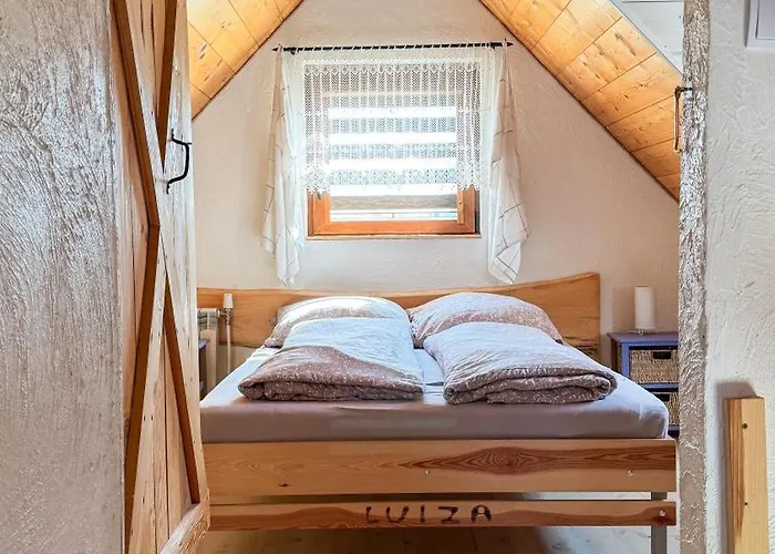 Duzy Dom I Z Bala - Caloroczne