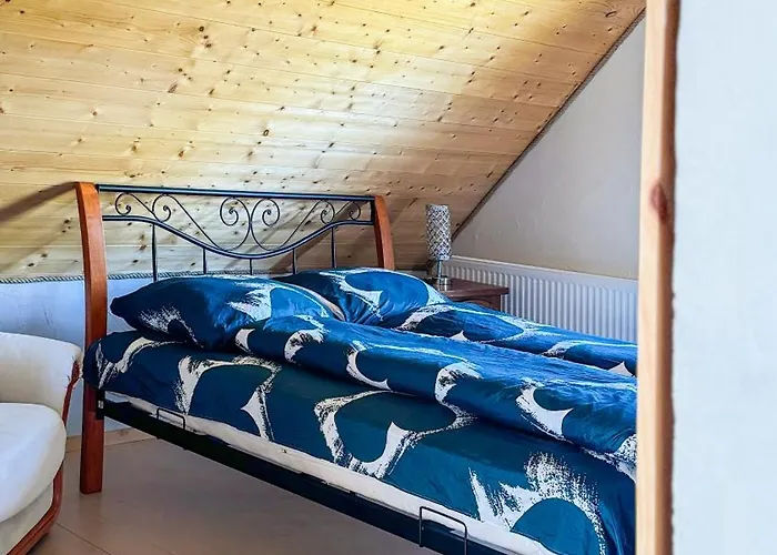 Duzy Dom I Z Bala - Caloroczne * Mikołajki