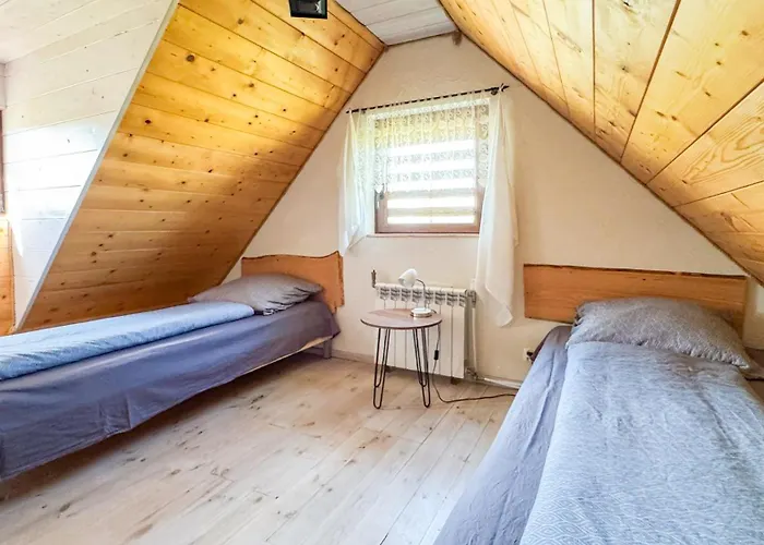 Duzy Dom I Z Bala - Caloroczne *